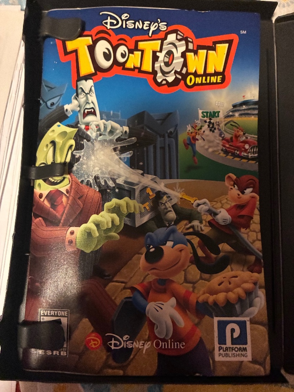 Vintage toontown pc game.